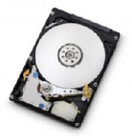 Hitachi Travelstar 7K500 500GB (HTS725050A9A364)